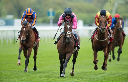 Spanish Mission (center) wins Yorkshire Cup at York Racecourse