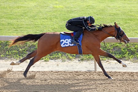 The Union Rags filly consigned as Hip 295 breezes a quarter-mile in :21 2/5 during the under tack show for the Fasig-Tipton Midlantic Sale