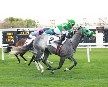 Pythoness - Horse Profile - BloodHorse