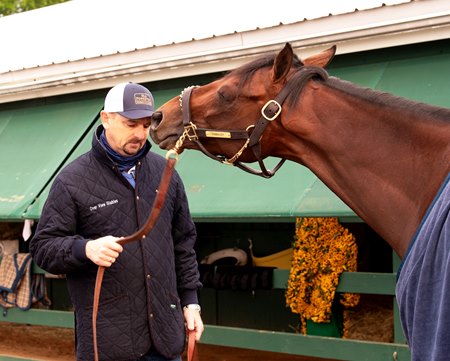 Trainer Michael McCarthy and Rombauer the morning after winning the Preakness Stakes at Pimlico Race Course