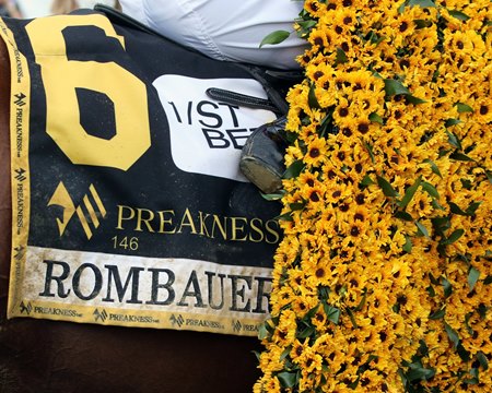 Rombauer wins the 2021 Preakness Stakes at Pimlico Race Course