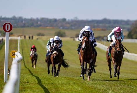 Broome Continues Perfect Season In Mooresbridge Bloodhorse