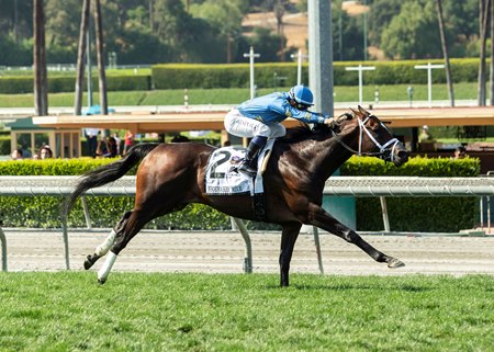 Smooth Like Strait wins the Shoemaker Mile Stakes at Santa Anita Park