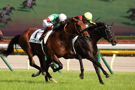 Shahryar (inside) catches Efforia to win the Tokyo Yushun at Tokyo Racecourse