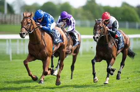 Hurricane Lane Upsets High Definition In Dante Stakes Bloodhorse