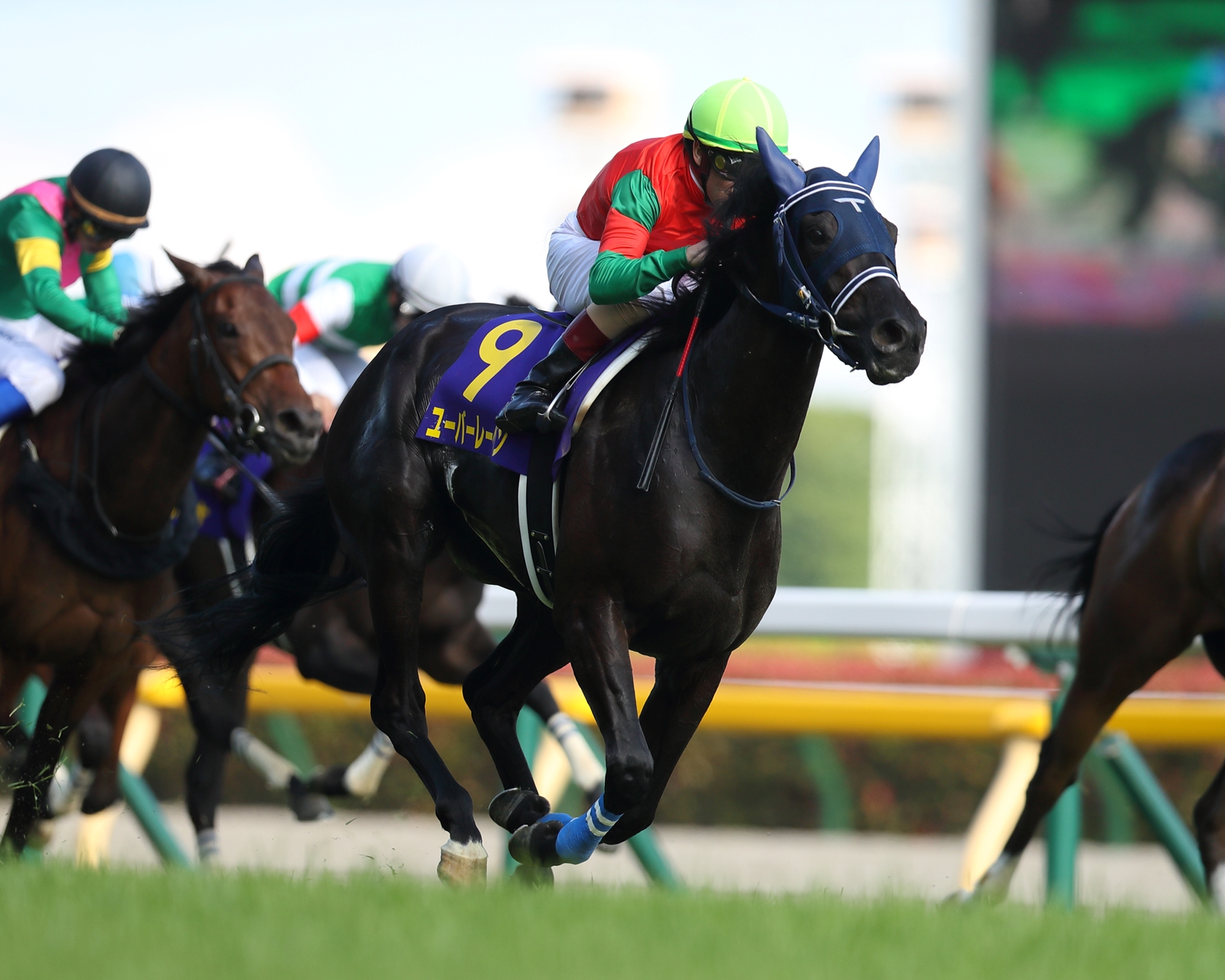 Uberleben Scores First Graded Win in Japanese Oaks - BloodHorse