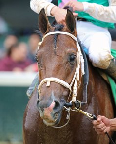 Fulsome after winning the Matt Winn Stakes at Churchill Downs