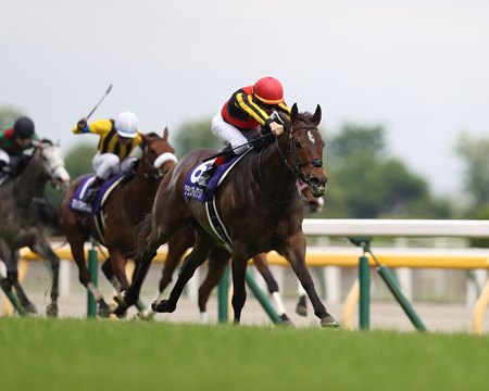 Gran Alegria Rises To The Challenge In Yasuda Kinen Bloodhorse