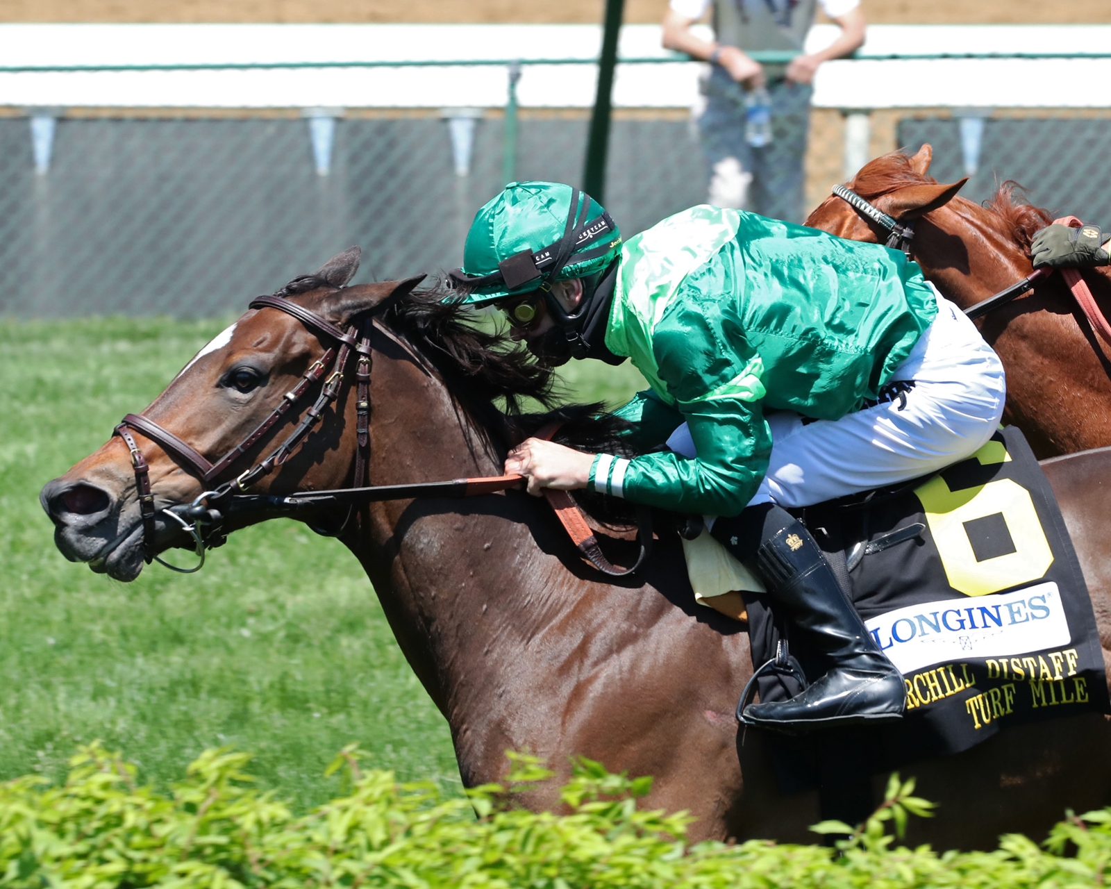 Blowout GB Horse Profile BloodHorse