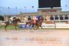 Gershwin wins the Penn Mile Stakes Friday, May 28, 2021 at Penn National