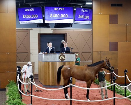 The Union Rags filly consigned as Hip 295 in the ring at the Fasig-Tipton Midlantic Sale