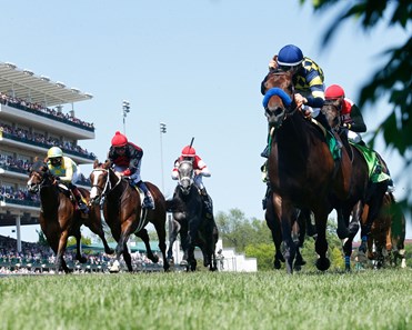 Du Jour - Horse Profile - BloodHorse