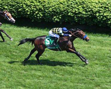 Du Jour - Horse Profile - BloodHorse