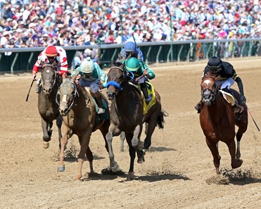 Flagstaff Horse Profile Bloodhorse