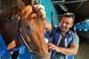 Juan Cano at his Churchill Downs barn with $91.80 winner Super Sol