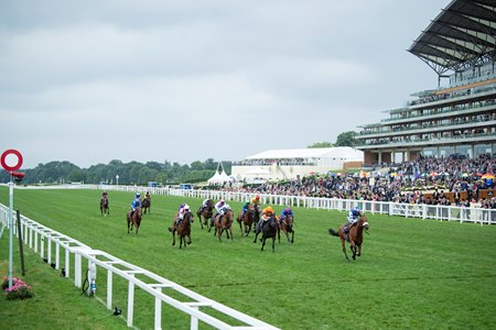 The Royal Ascot meeting conducted 35 races across its five days
