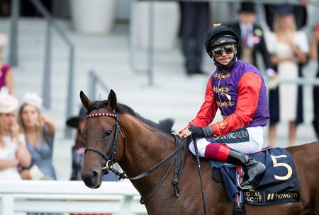 Frankie Dettori aboard the Queen's homebred Reach For The Moon after the pair finished second in the Hampton Court Stakes at Royal Ascot