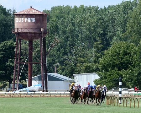 Racing at Ellis Park