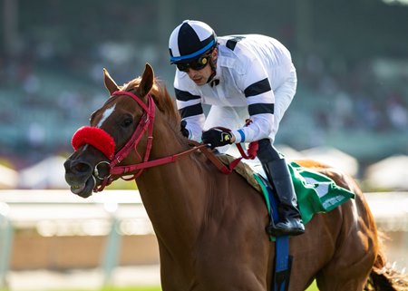 Warren's Showtime wins the Wilshire Stakes at Santa Anita Park