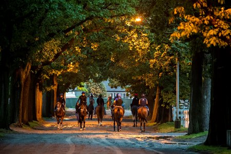 Plans would put the 'park' back in Belmont Park while ensuring a year-round racing schedule in New York