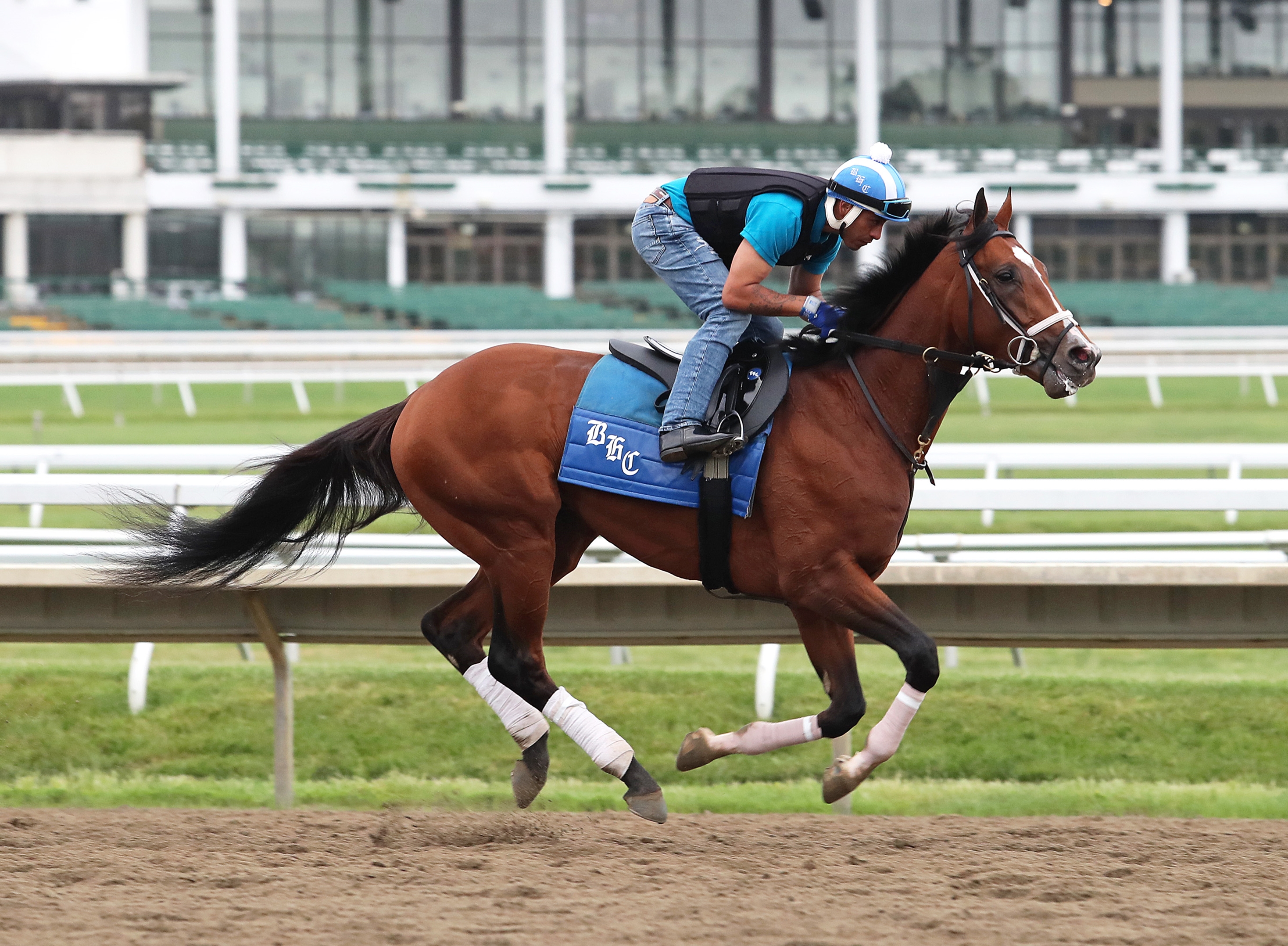 First Reported Foal for Mandaloun is a Filly - BloodHorse