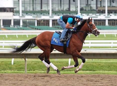 Mandaloun Returns In Pegasus At Monmouth Park Bloodhorse
