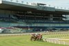 Thoroughbred&#39;s turn into the 1st.turn on opening day at Woodbine racetrack.Jockey David Moran (Middle white and purple silks) leads the way enroute to capturing the 9th race on the inner turf course for owner Hoolie Racing Stable, LLC and trainer Brabara J. Minshall. Woodbine/ Michael Burns Photo
