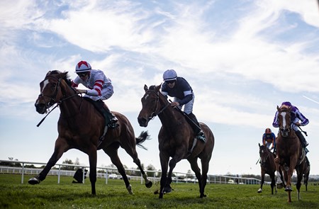 Baron Samedi Gb Horse Profile Bloodhorse