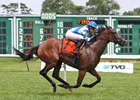 Por Que No with Ferrin Peterson riding won the $75,000 Boiling Springs Stakes at Monmouth Park Racetrack in Oceanport, NJ on Saturday June 26,2021. Photo By Bill Denver/EQUI-PHOTO
