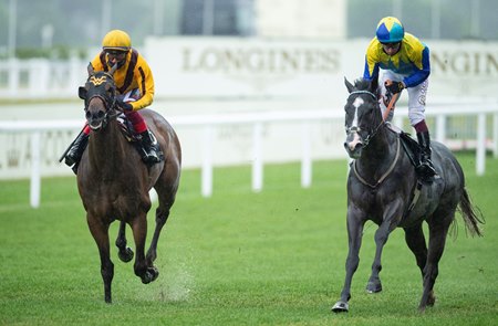Dragon Symbol (right) is narrowly beaten by Campanelle in the Commonwealth Cup at Ascot Racecourse