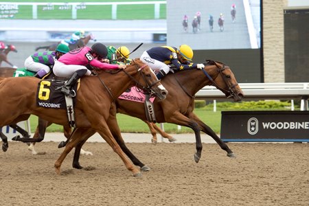 Boardroom (center) edges Our Secret Agent (outside) to win the Whimsical Stakes at Woodbine