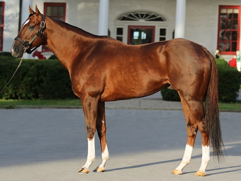 9375ddf08050458d8b67e44079c3c5