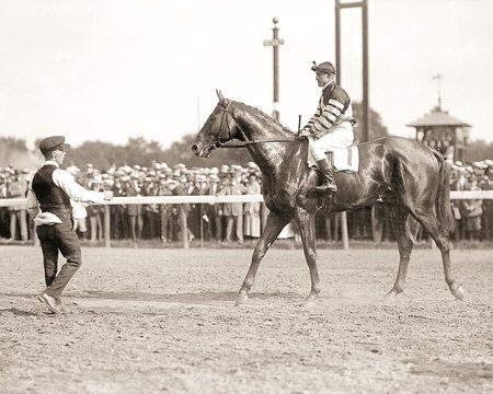 Man o' War after winning the 1920 Travers Stakes at Saratoga Race Course