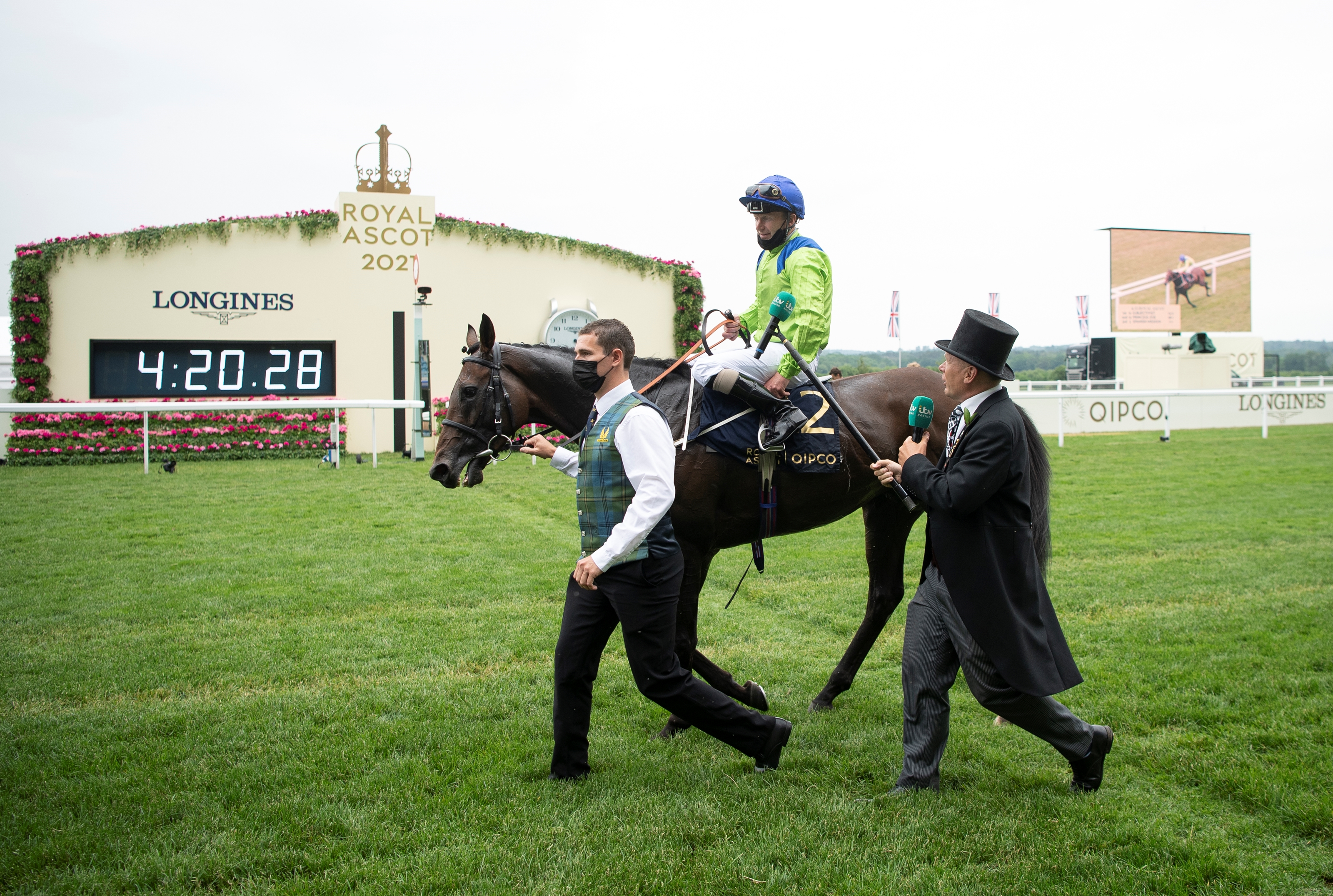 2021 Gold Cup Winner Subjectivist Retired BloodHorse