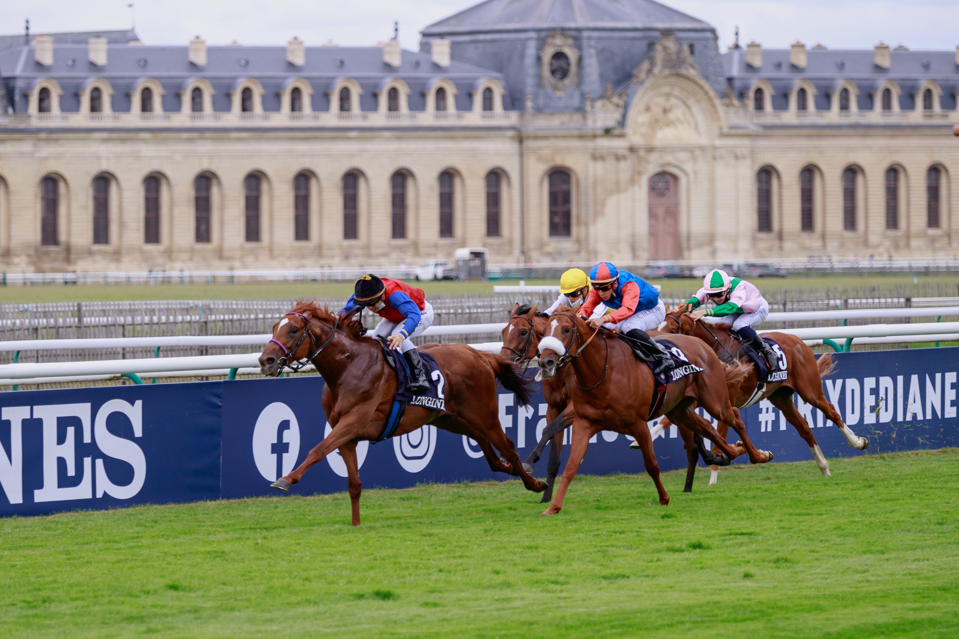 Northern Ruler GER Horse Profile BloodHorse