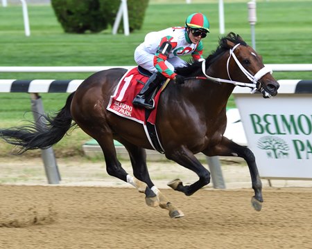 Firenze Fire captures his second consecutive True North Stakes in 2021 at Belmont Park