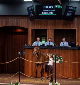 The Nyquist colt consigned as 506 in the ring at the OBS June Sale