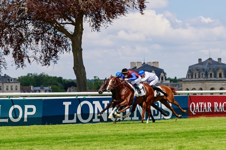 In Swoop Ire Horse Profile Bloodhorse