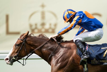 Love wins the Prince of Wales's Stakes at Ascot Racecourse