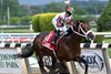 Firenze Fire wins the 2021 True North Stakes at Belmont Park