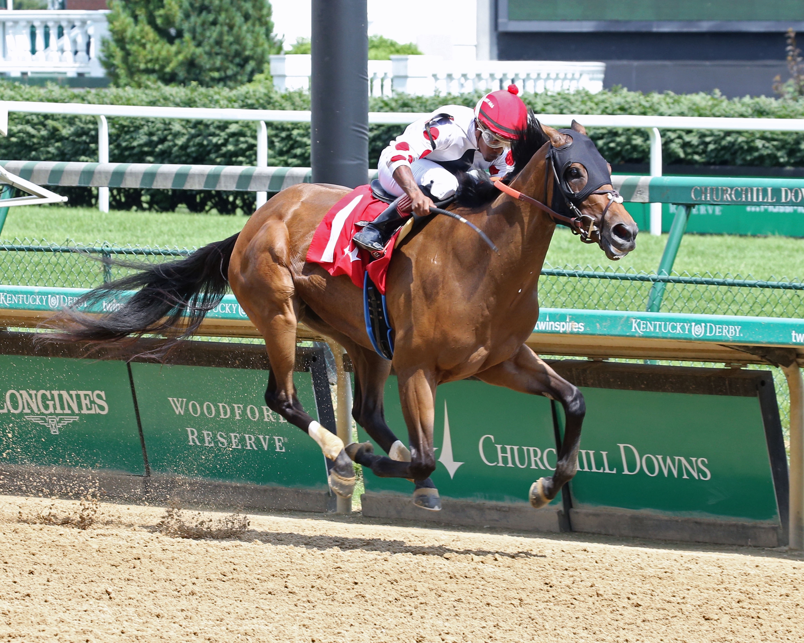 Gigi B. - Horse Profile - BloodHorse