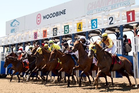 Woodbine Entertainment Adds Three New Members To Board Of Directors - Horse  Racing News