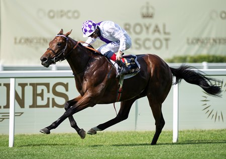 Poetic Flare wins the St. James's Palace Stakes at Ascot Racecourse