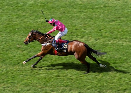 Oxted wins the 2021 King's Standard Stakes at Ascot