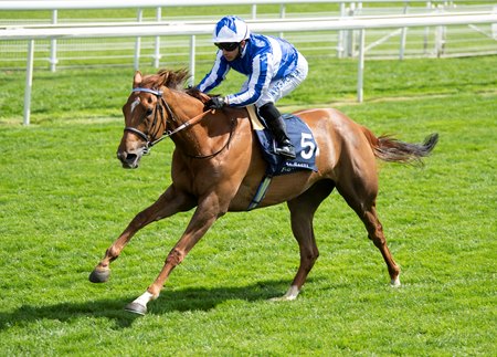 Queen Power wins the Middleton Fillies' Stakes 