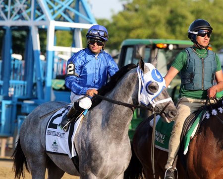 Essential Quality is led to the starting gate prior to his win in the Belmont Stakes at Belmont Park