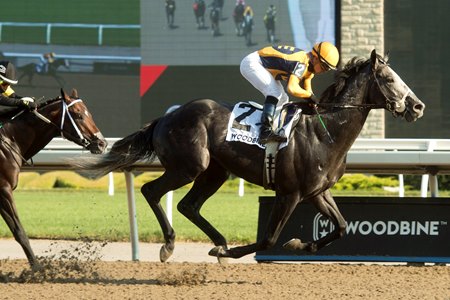 Outadore wins the Woodstock Stakes at Woodbine