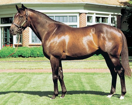 Came Home at Lane's End Farm