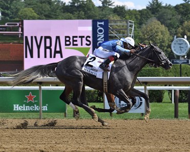 Maracuja Horse Profile Bloodhorse