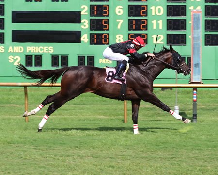 Street Ready, who won this allowance level race at Ellis Park in 2021, fared well at the Thoroughbred Makeover